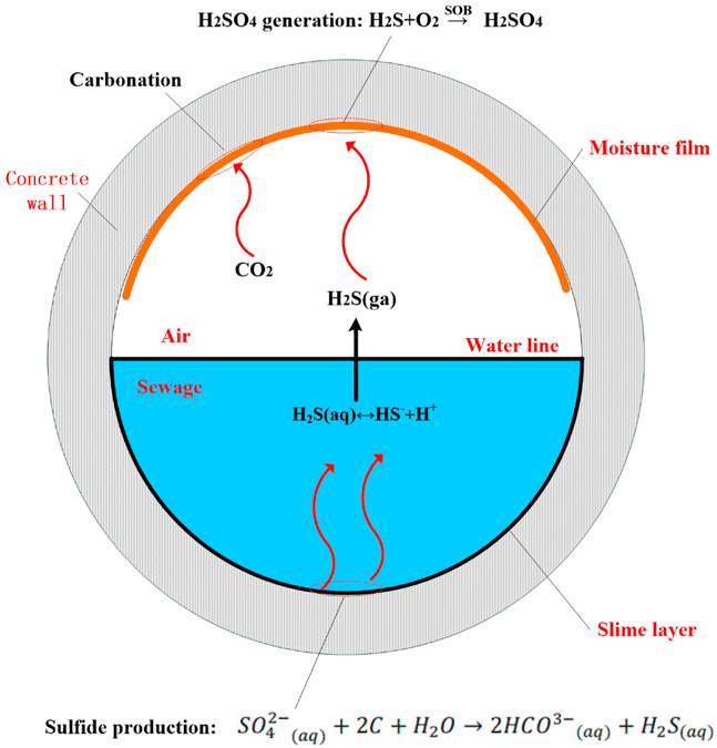 microbially induced corrosion